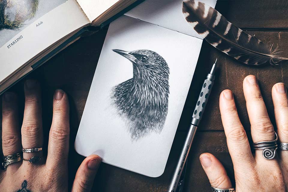 Dibujo a lápiz o carboncillo